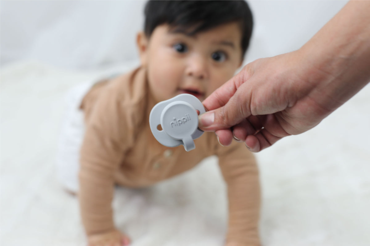 Orthodontic Freezable Teething Pacifier Nippii Baby